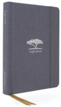 9781950784813 Insight Journal Grey