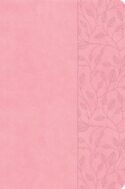 9798384517542 Large Print Thinline Bible Value Edition