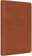 9798874903374 Value Thinline Bible