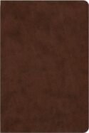 9781433598357 Dyslexia Friendly Edition Bible